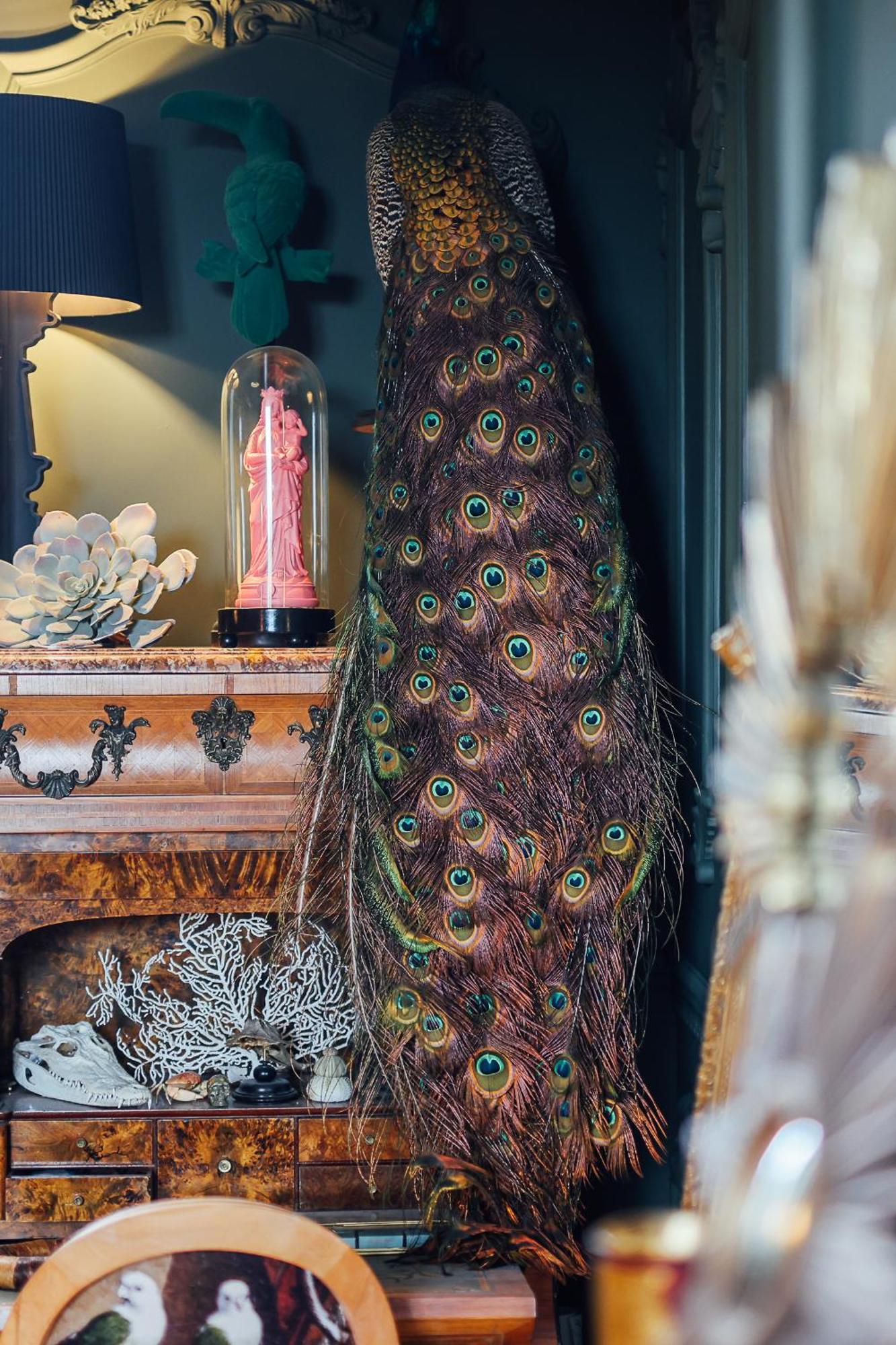 Malouiniere Guillaume Onffroy Bed and Breakfast Saint-Malo Eksteriør billede